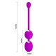 Werner Silicone Rechargeable Kegel Balls Sex Toys