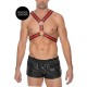 Scottish Harness With O Rings Red Erotic Lingerie 