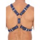 Z Series Scottish Leather Harness Blue Erotic Lingerie 