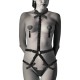 Φετιχιστικά Λουριά Με Διακοσμητικά Θηλών - Elastic Harness Set And Nipple Covers Black Fetish Toys 
