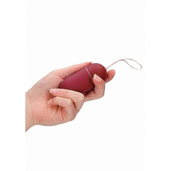 Remote Control Vibrating Egg Large Red Sex Toys