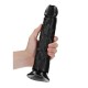 Curved Realistic Dildo With Suction Cup Black 25cm Sex Toys