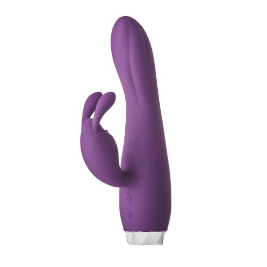 Rabbit Δονητής Σιλικόνης – Flirts Silicone Rabbit Vibrator Purple Sex Toys 