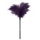 GP Small Feather Tickler Purple Fetish Toys 