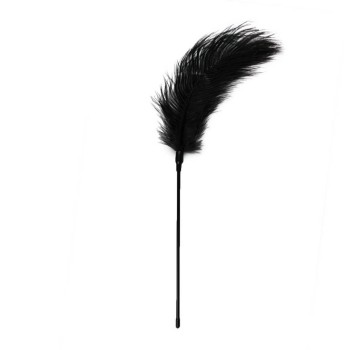 Μεγάλο Μαύρο Φτερό - Black Feather Tickler