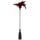 GP Feather Crop Black/Red Fetish Toys 