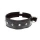 Guilty Pleasure Collar With Studs Fetish Toys 