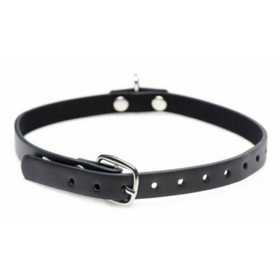 Collared Vixen Collar With Ring Fetish Toys 