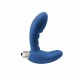 Backdoor Wonder Touch Prostate Vibrator Blue Sex Toys