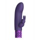 Μίνι Rabbit Δονητής - Dazzling Mini Rechargeable Rabbit Vibrator Purple Sex Toys 